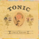 Tonic 'If You Could Only See' Piano Chords/Lyrics