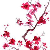 Trad. Japanese Folk Song 'Sakura (Cherry Blossoms)' Ocarina
