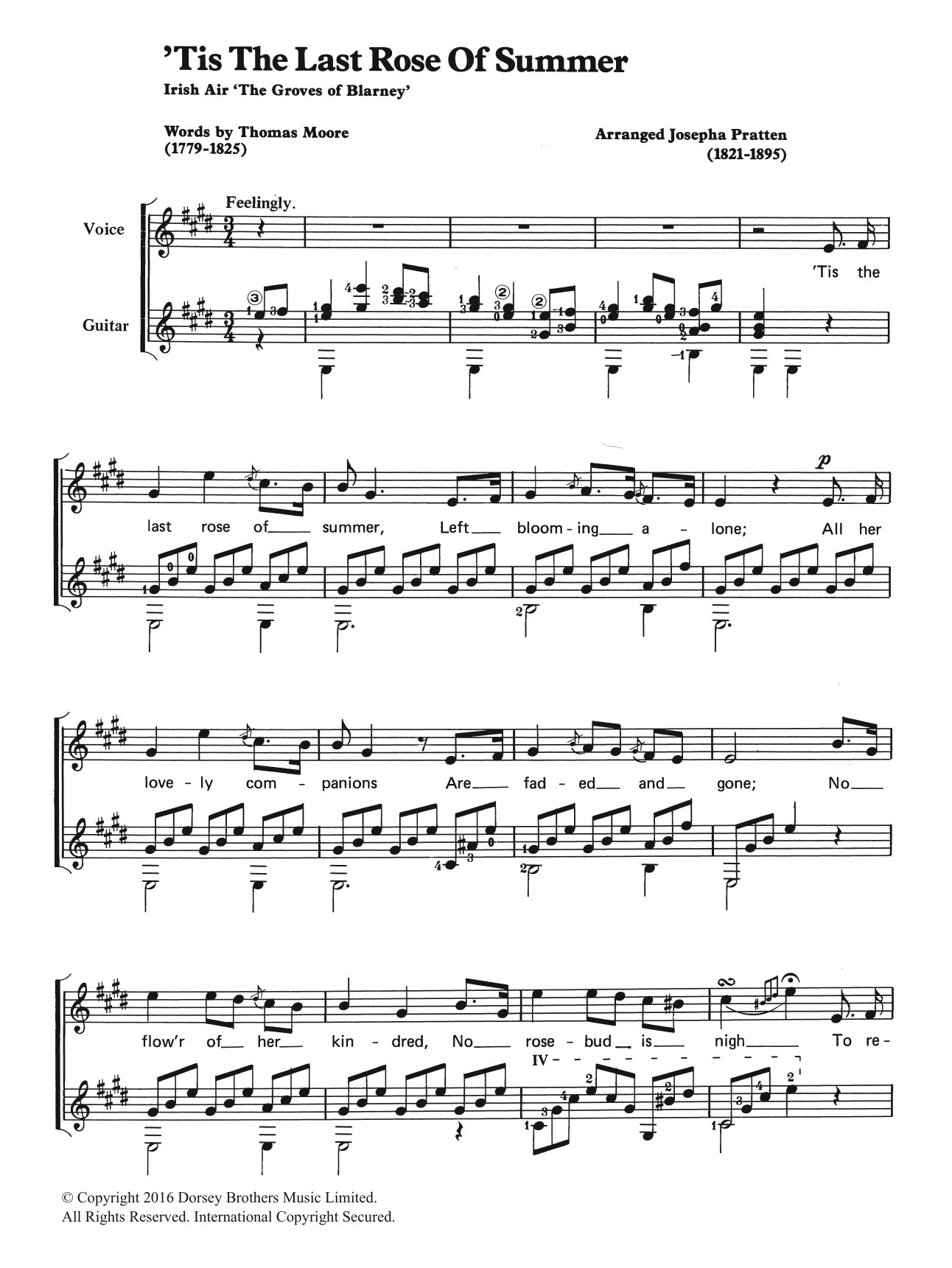 Traditional 'Tis The Last Rose Of Summer sheet music notes and chords arranged for Piano, Vocal & Guitar Chords