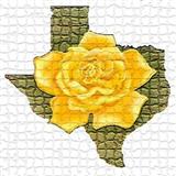 Traditional Folksong 'The Yellow Rose Of Texas' Piano, Vocal & Guitar Chords