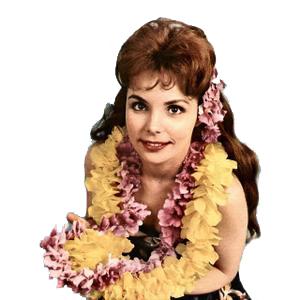 Easily Download Traditional Hawaiian Folk Song Printable PDF piano music notes, guitar tabs for  Easy Piano. Transpose or transcribe this score in no time - Learn how to play song progression.