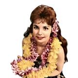 Traditional Hawaiian Folk Song 'Maori Farewell Song' Easy Piano