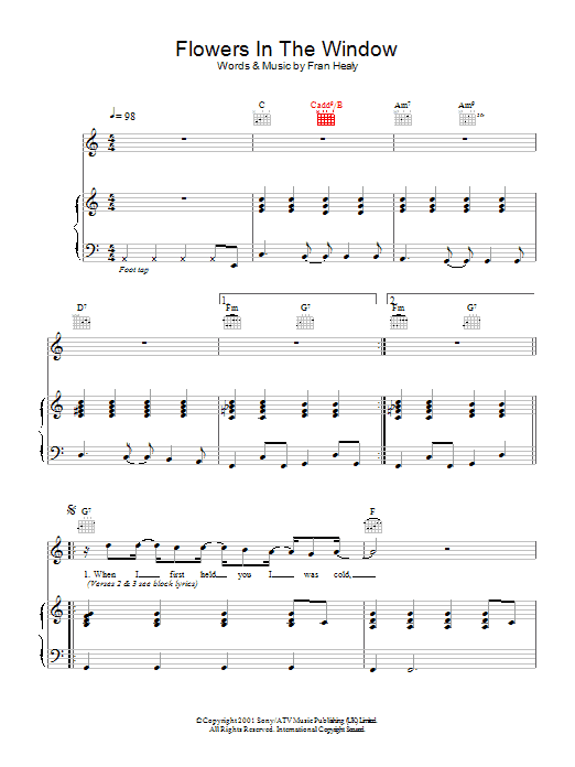 Travis Flowers In The Window sheet music notes and chords arranged for Piano, Vocal & Guitar Chords