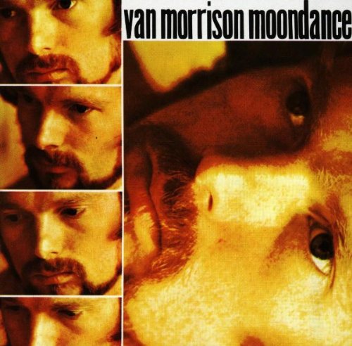 Easily Download Van Morrison Printable PDF piano music notes, guitar tabs for  Lead Sheet / Fake Book. Transpose or transcribe this score in no time - Learn how to play song progression.