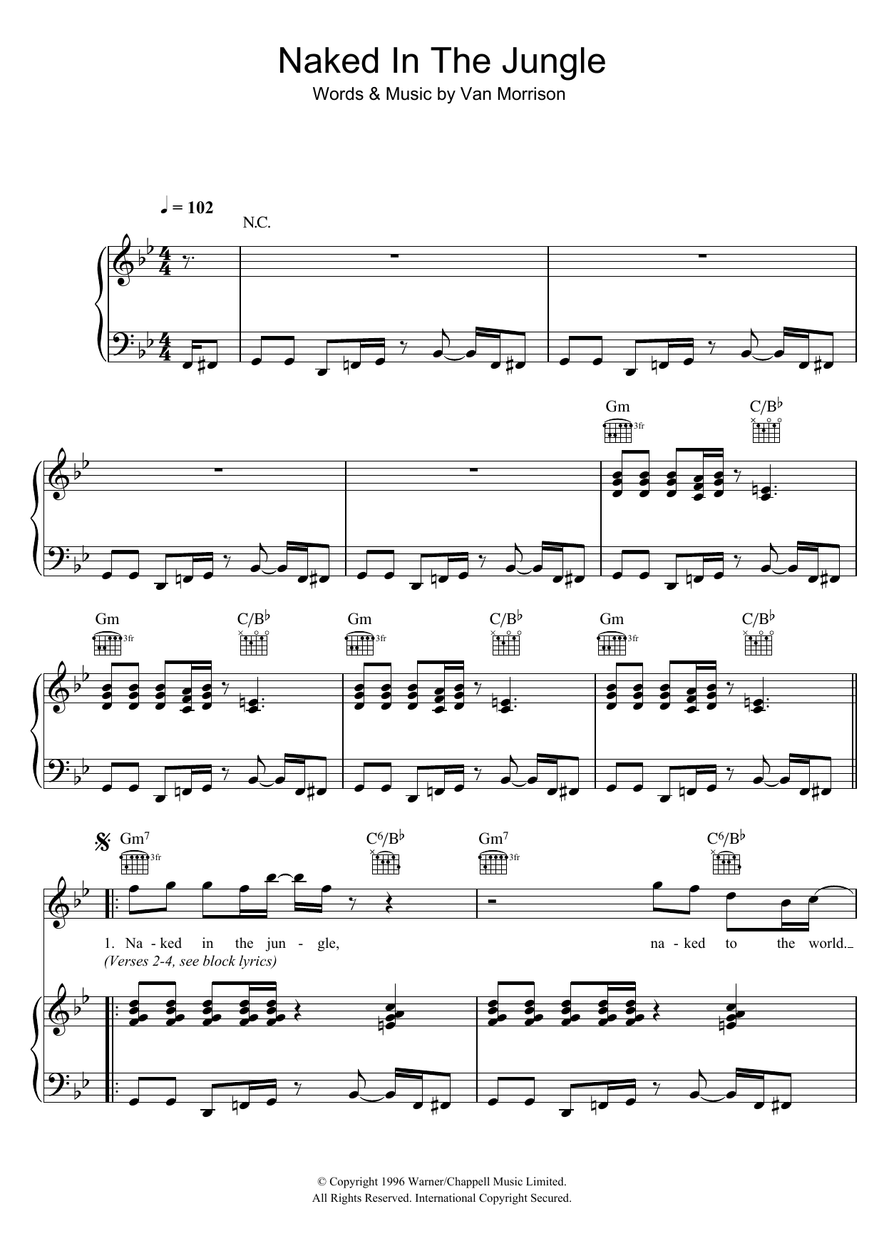 Van Morrison Naked In The Jungle sheet music notes and chords arranged for Piano, Vocal & Guitar Chords