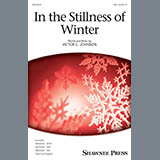 Victor C. Johnson 'In The Stillness Of Winter' SAB Choir