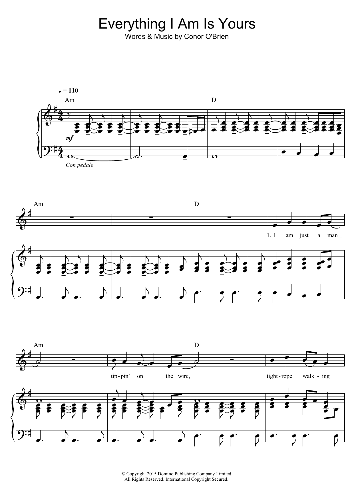 Villagers Everything I Am Is Yours sheet music notes and chords arranged for Piano, Vocal & Guitar Chords