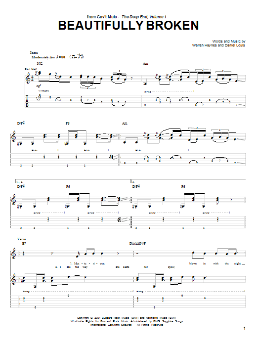 Warren Haynes Beautifully Broken sheet music notes and chords arranged for Guitar Tab