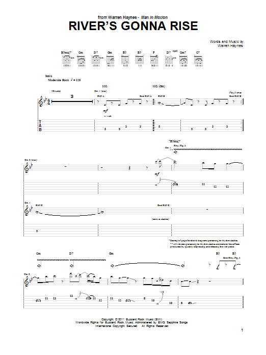 Warren Haynes River's Gonna Rise sheet music notes and chords arranged for Guitar Tab