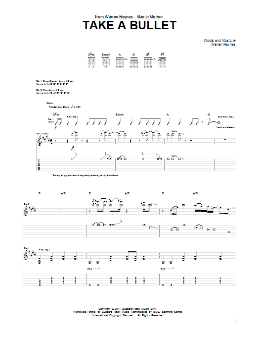 Warren Haynes Take A Bullet sheet music notes and chords arranged for Guitar Tab