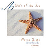 Wayne Gratz 'Steps In The Sand' Piano Solo