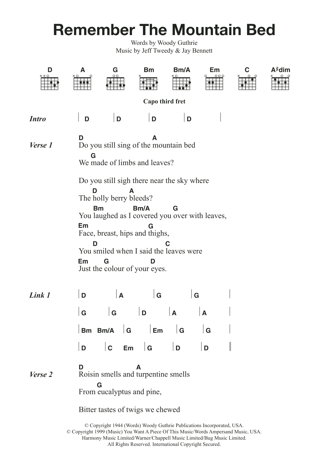 Wilco & Billy Bragg Remember The Mountain Bed sheet music notes and chords arranged for Guitar Chords/Lyrics