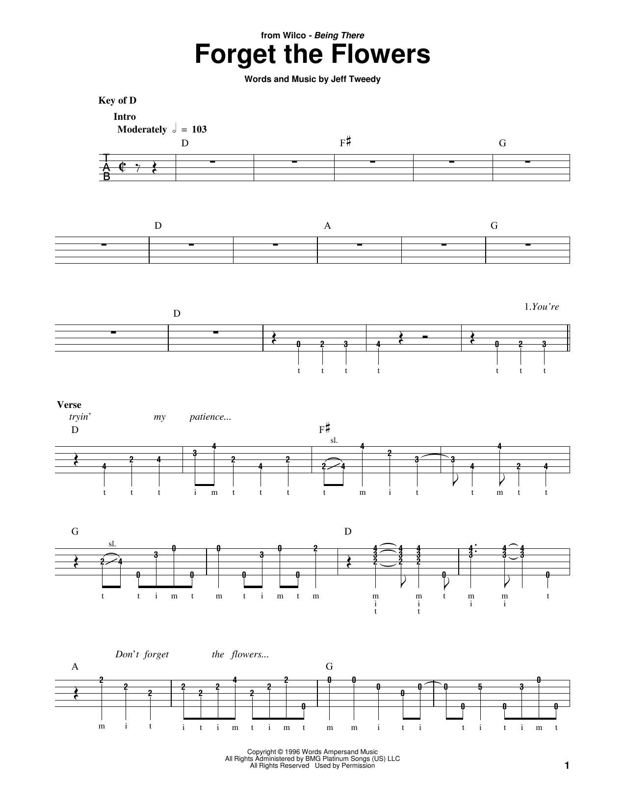 Wilco Forget The Flowers sheet music notes and chords arranged for Banjo Tab