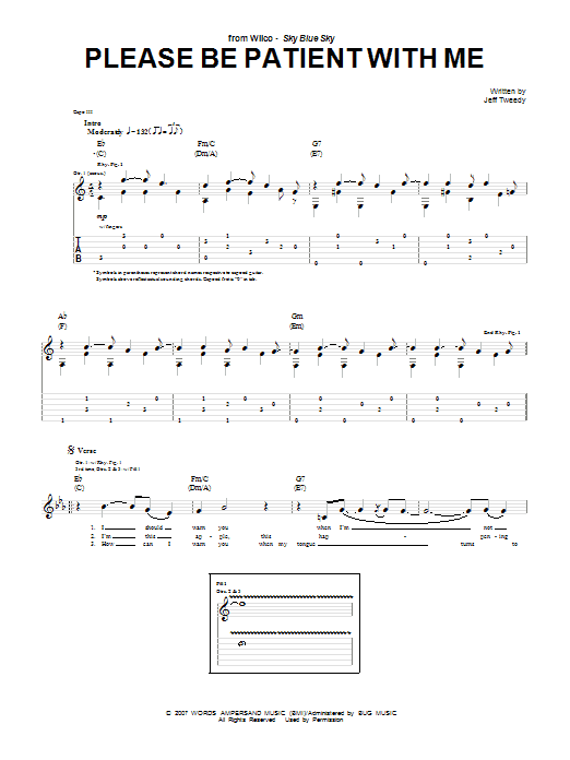 Wilco Please Be Patient With Me sheet music notes and chords arranged for Guitar Tab