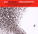 Wilco 'Sky Blue Sky' Guitar Tab