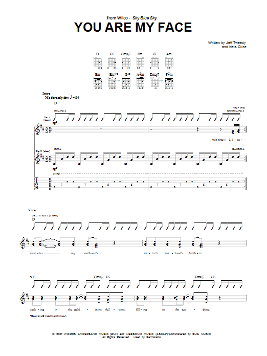 Wilco You Are My Face sheet music notes and chords arranged for Guitar Tab