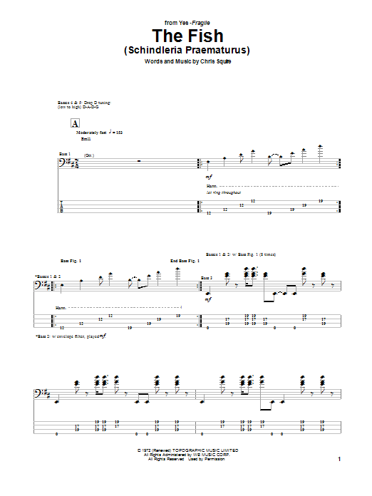 Yes The Fish (Schindleria Praematurus) sheet music notes and chords arranged for Bass Guitar Tab